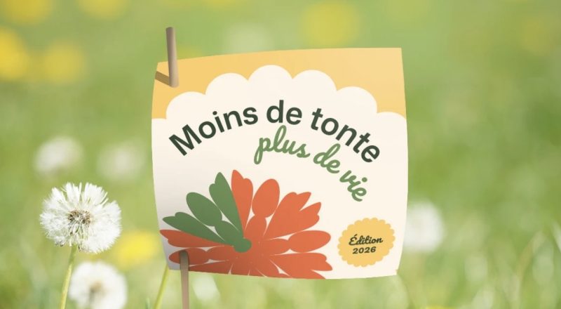 La Ville de Port-Cartier participe de nouveau au Défi Pissenlits et invite la population à emboîter le pas! La Ville de Port-Cartier participe de nouveau au Défi Pissenlits et invite la population à emboîter le pas!